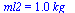ml2 = `+`(`*`(1.0, `*`(kg_)))