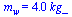 m[w] = `+`(`*`(4.0, `*`(kg_)))