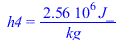 h4 = `+`(`/`(`*`(0.256e7, `*`(J_)), `*`(kg_)))